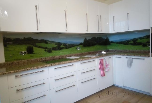 Фартук для кухни фото: природный пейзаж, заказ #КРУТ-923, Белая кухня. Изображение 111480