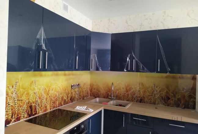 Стеклянная фото панель: пшеничное поле, заказ #ИНУТ-6809, Синяя кухня. Изображение 214674