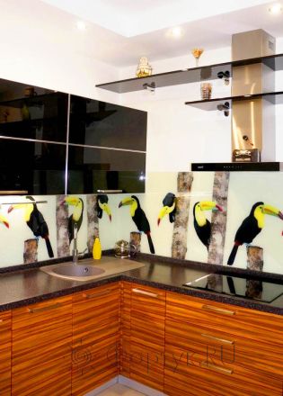 Фартук с фотопечатью фото: птица -тукан, заказ #S-394, Коричневая кухня.
