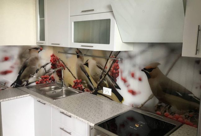Фартук для кухни фото: птицы , заказ #КРУТ-2087, Белая кухня. Изображение 113366
