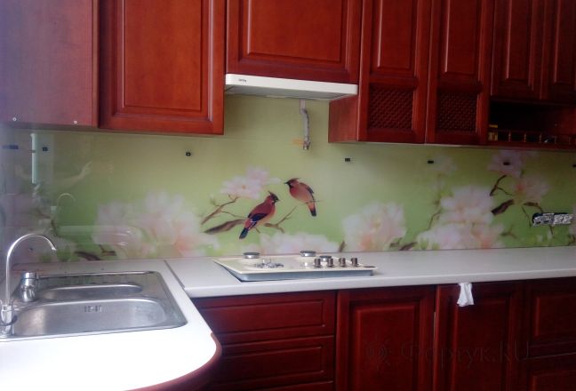 Фартук с фотопечатью фото: птицы и цветущие деревья, заказ #ИНУТ-794, Коричневая кухня. Изображение 206604