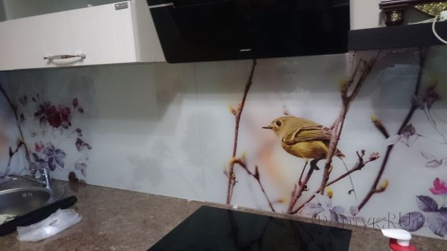 Фартук для кухни фото: птицы на ветках, заказ #КРУТ-087, Белая кухня.