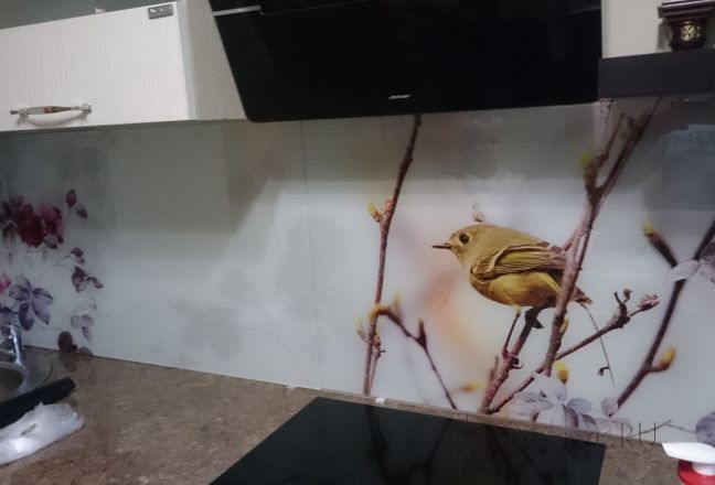 Фартук для кухни фото: птицы на ветках, заказ #КРУТ-087, Белая кухня. Изображение 197434
