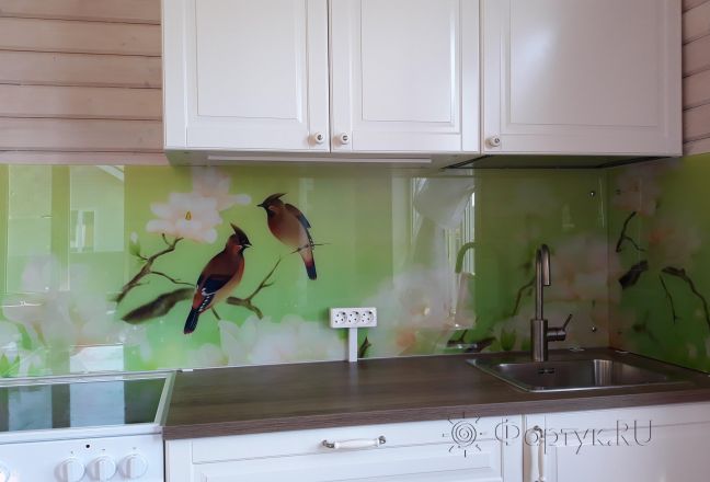 Фартук для кухни фото: птицы на ветках, заказ #ИНУТ-1419, Белая кухня. Изображение 206604