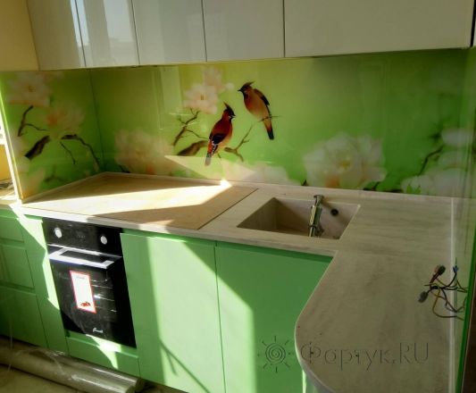 Скинали для кухни фото: птицы на ветках, заказ #ИНУТ-2083, Зеленая кухня.