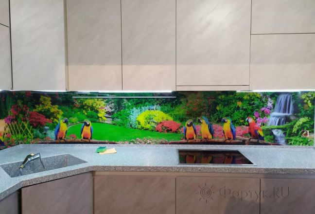 Фартук с фотопечатью фото: разноцветные попугаи, заказ #ИНУТ-8311, Коричневая кухня. Изображение 249022