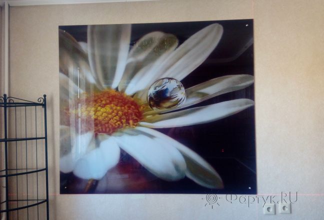 Фартук для кухни фото: ромашка с каплей росы, заказ #ИНУТ-1118, Белая кухня.