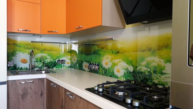 Фартук стекло фото: ромашки, заказ #ИНУТ-1593, Оранжевая кухня.