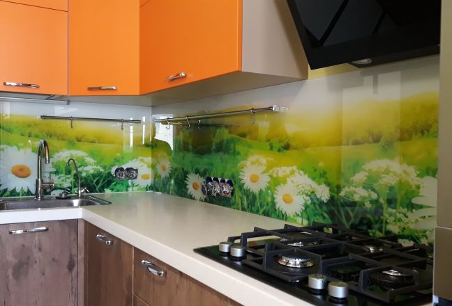 Фартук стекло фото: ромашки, заказ #ИНУТ-1593, Оранжевая кухня.