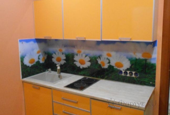 Фартук стекло фото: ромашки на траве., заказ #S-32, Оранжевая кухня.