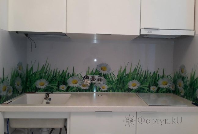 Фартук для кухни фото: ромашки в траве, заказ #ИНУТ-2880, Белая кухня. Изображение 112728
