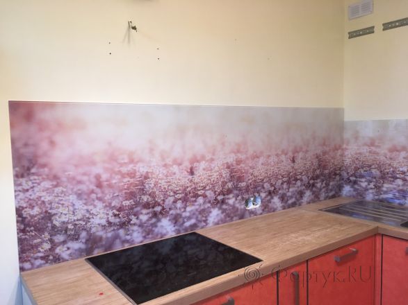 Фартук стекло фото: ромашковое поле, заказ #КРУТ-292, Оранжевая кухня.