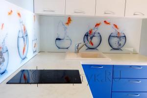 Стеклянная фото панель: рыбки, заказ #УТ-665, Синяя кухня.