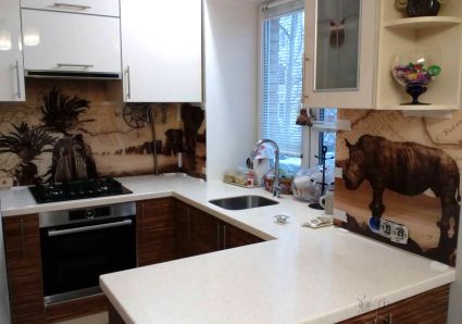 Фартук с фотопечатью фото: сафари, заказ #УТ-269, Коричневая кухня.