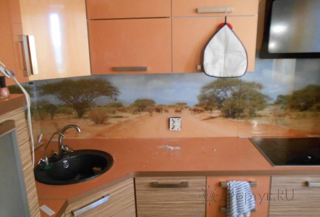 Фартук стекло фото: сафари и стадо слонов., заказ #SK-1125-5, Оранжевая кухня.