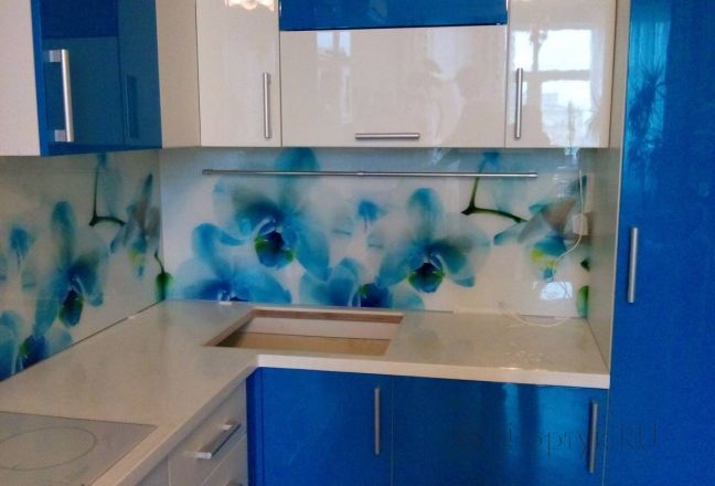 Стеклянная фото панель: синие орхидеи., заказ #S-435, Синяя кухня. Изображение 111366