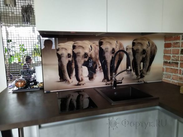 Стеновая панель фото: слоны, заказ #ИНУТ-4863, Серая кухня.