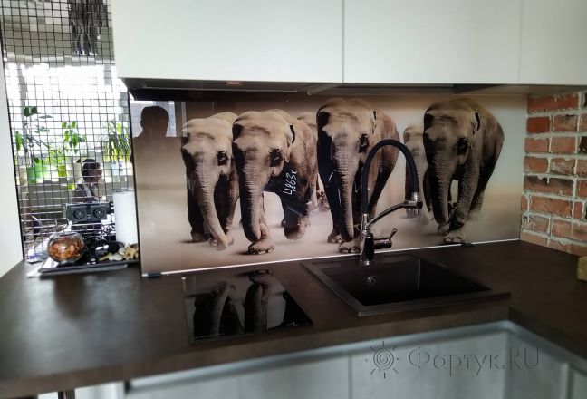 Стеновая панель фото: слоны, заказ #ИНУТ-4863, Серая кухня. Изображение 272716