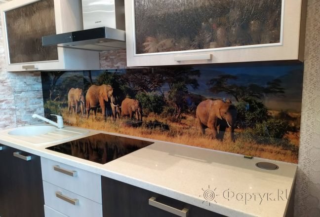 Фартук с фотопечатью фото: слоны, заказ #ИНУТ-6022, Коричневая кухня.