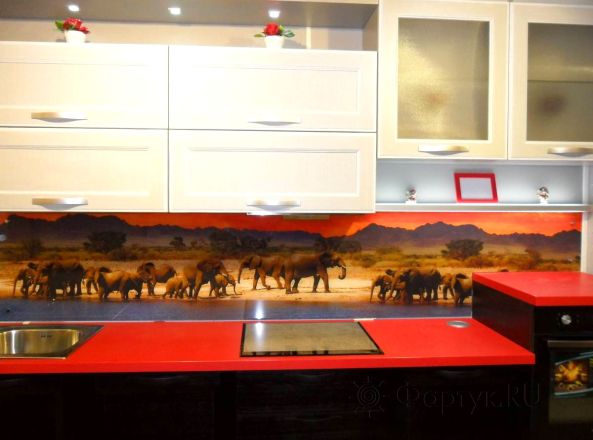 Скинали фото: слоны у водоема., заказ #S-1203, Красная кухня.