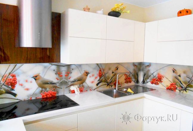 Фартук для кухни фото: снегири на ветках рябины., заказ #S-117, Белая кухня.