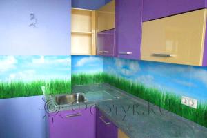 Фартук фото: сочная трава на голубом фоне, заказ #S-14, Фиолетовая кухня.