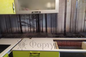 Скинали для кухни фото: сосновый лес в тумане, заказ #ИНУТ-11198, Зеленая кухня.