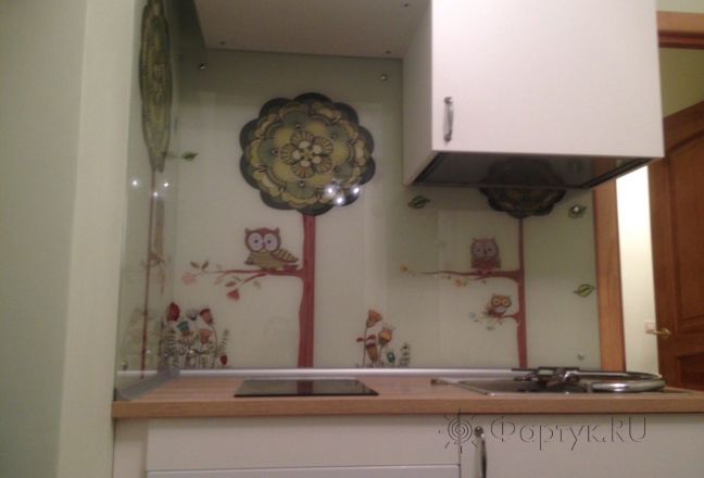 Фартук для кухни фото: совы, заказ #УТ-1484, Белая кухня. Изображение 112400