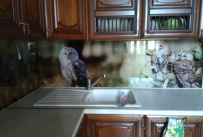Фартук с фотопечатью фото: совы, заказ #ИНУТ-3845, Коричневая кухня. Изображение 198030