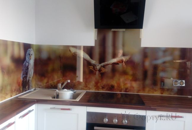 Фартук для кухни фото: совы в лесу, заказ #ИНУТ-797, Белая кухня. Изображение 198030