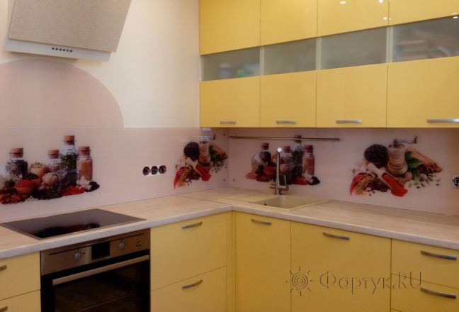 Скинали для кухни фото: специи, заказ #УТ-844, Желтая кухня.