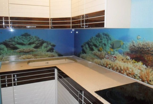 Фартук с фотопечатью фото: спокойствие подводного мира., заказ #SN-211, Коричневая кухня. Изображение 146994