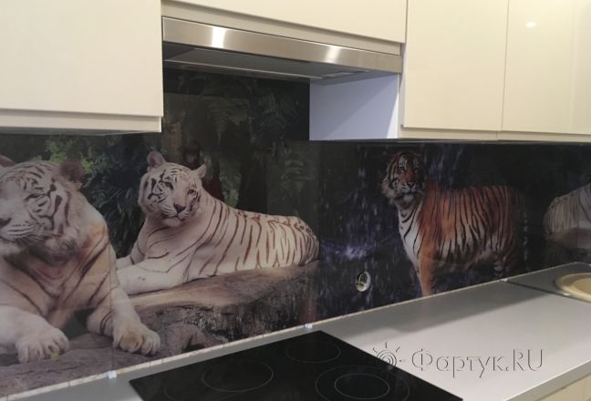 Фартук для кухни фото: тигры, заказ #КРУТ-278, Белая кухня. Изображение 132066