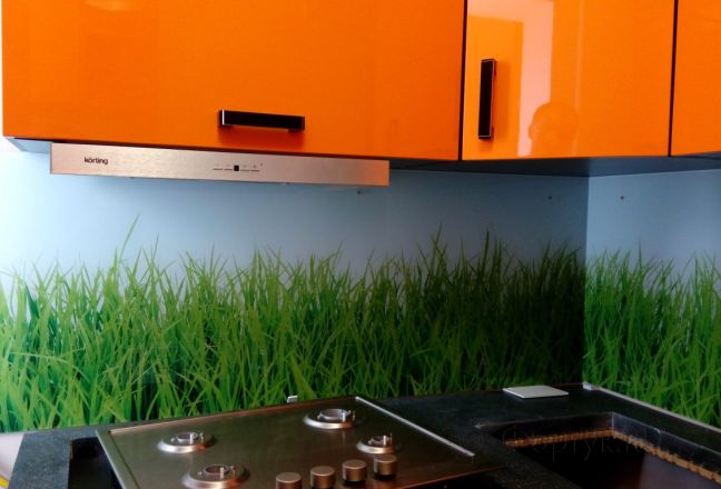 Фартук стекло фото: трава, заказ #УТ-2169, Оранжевая кухня. Изображение 111432