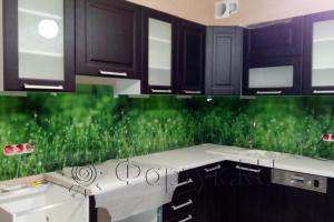 Фартук с фотопечатью фото: трава с росой, заказ #УТ-1238, Коричневая кухня.