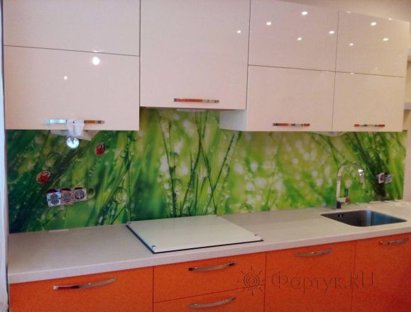 Фартук стекло фото: трава в росе., заказ #S-711, Оранжевая кухня.