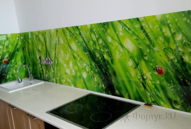 Фартук с фотопечатью фото: трава в росе, заказ #ИНУТ-3437, Коричневая кухня. Изображение 111438
