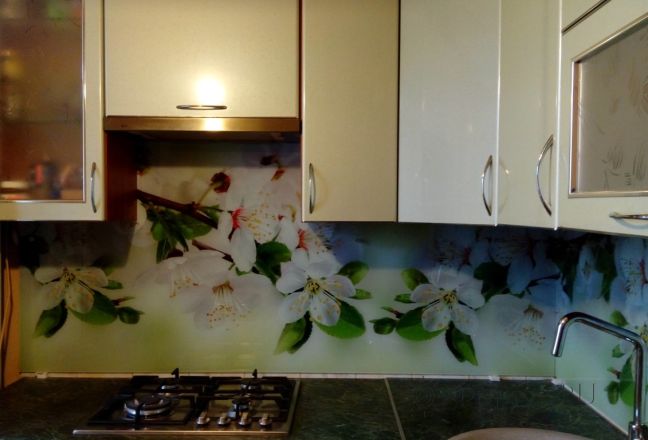 Фартук для кухни фото: цветущие ветки, заказ #УТ-2001, Белая кухня. Изображение 112692