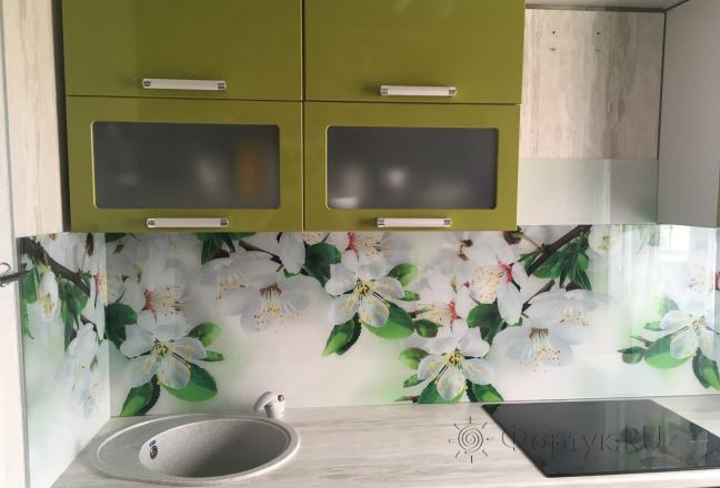Скинали для кухни фото: цветущие ветки, заказ #КРУТ-725, Зеленая кухня. Изображение 112692