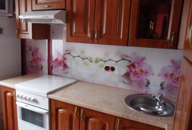 Фартук с фотопечатью фото: цветы на белом фоне в капельках воды., заказ #S-622, Коричневая кухня. Изображение 111312