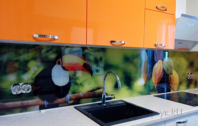 Фартук стекло фото: тукан, заказ #УТ-870, Оранжевая кухня.