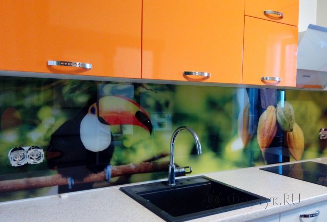 Фартук стекло фото: тукан, заказ #УТ-870, Оранжевая кухня. Изображение 113348