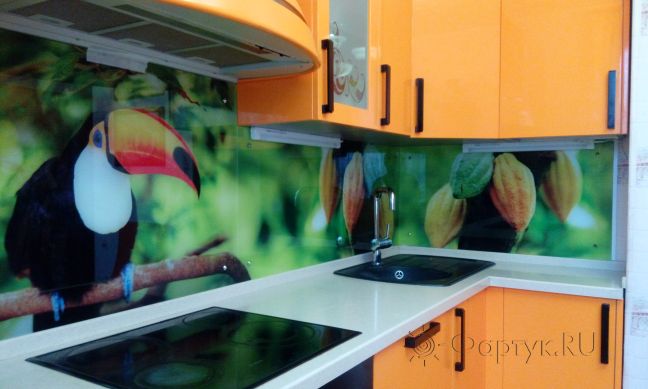 Фартук стекло фото: тукан на зеленом фоне, заказ #ИНУТ-224, Оранжевая кухня.