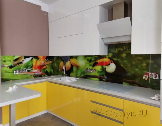 Скинали для кухни фото: тукан на зеленом фоне, заказ #ИНУТ-8766, Желтая кухня.