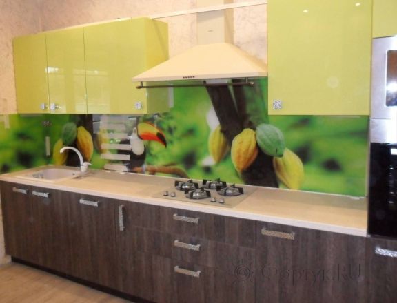 Фартук с фотопечатью фото: тукан на зеленом фоне., заказ #УТ-062, Коричневая кухня.