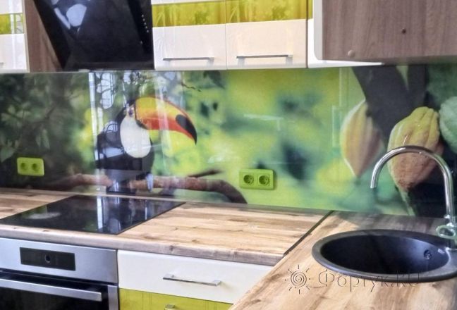 Скинали для кухни фото: тукан на зеленом фоне, заказ #ГОУТ-34, Зеленая кухня. Изображение 113348
