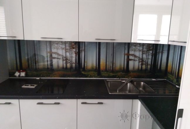 Фартук для кухни фото: туман в лесу, заказ #ИНУТ-103, Белая кухня. Изображение 82054