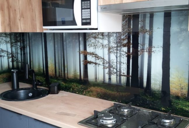 Стеновая панель фото: туман в лесу, заказ #ИНУТ-18128, Серая кухня. Изображение 82054