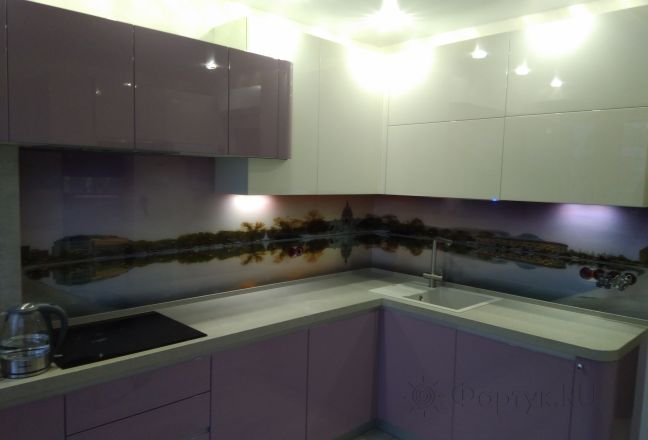 Фартук фото: вашингтон, белый дом, заказ #ИНУТ-114, Фиолетовая кухня. Изображение 110856