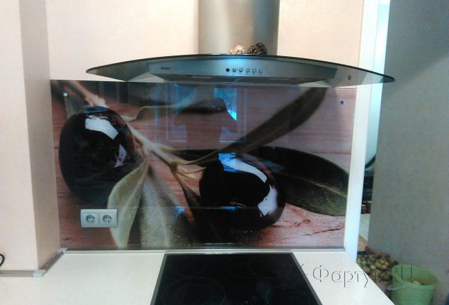 Фартук для кухни фото: ветка оливы, заказ #УТ-1049, Белая кухня. Изображение 111836